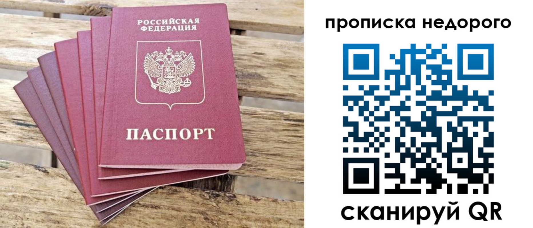 прописка ребенка в Шлиссельбурге
